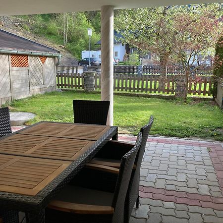 Appartement Stefanie Hollersbach im Pinzgau Eksteriør billede