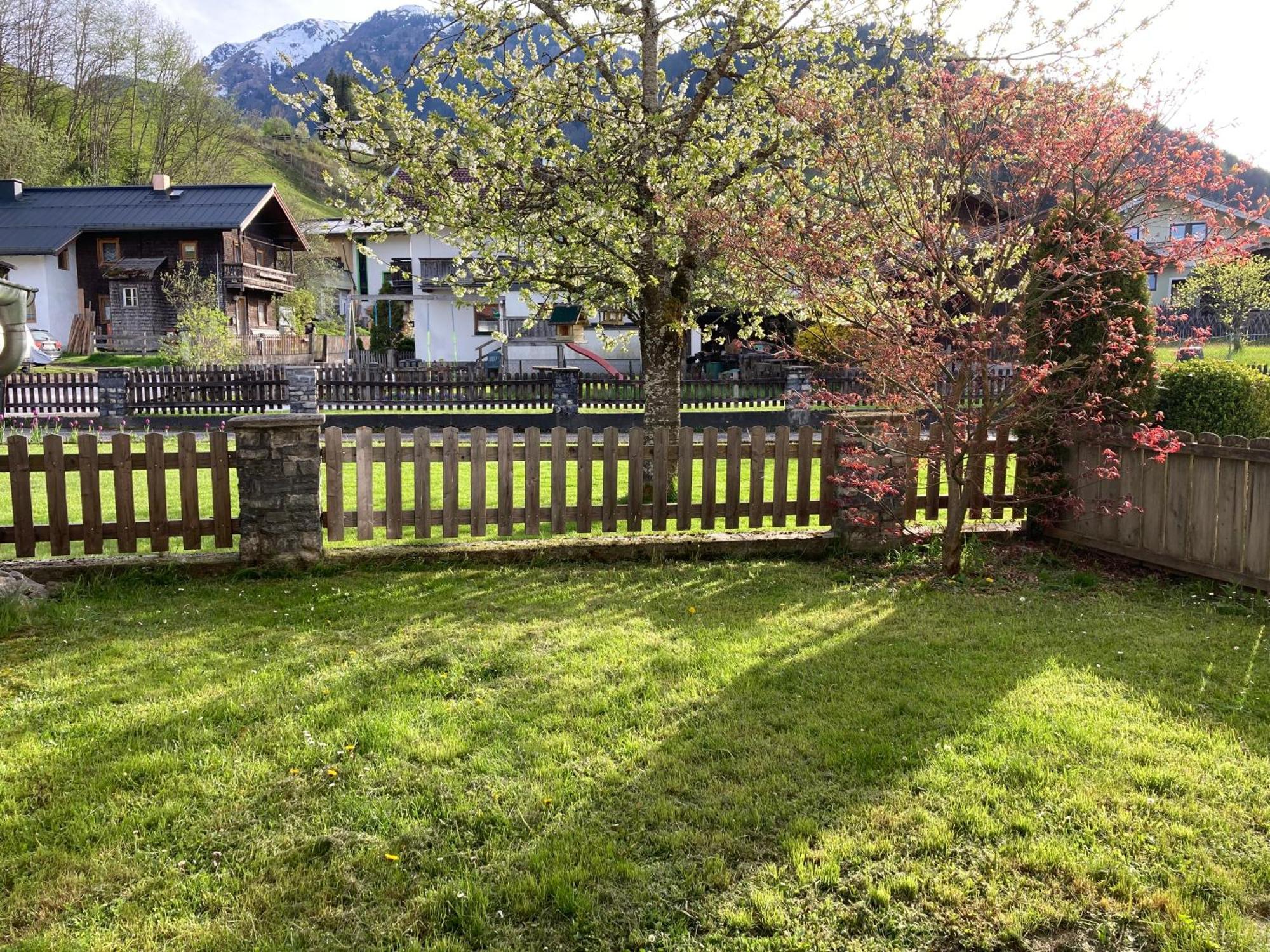 Appartement Stefanie Hollersbach im Pinzgau Eksteriør billede